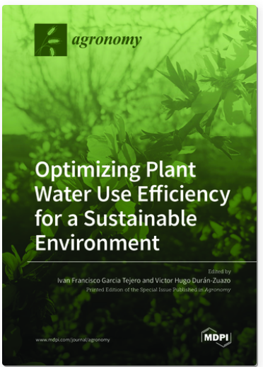 Fruit Size, Manzanilla, Olive, Regulated Deficit Irrigation, Water Potential, Water Relation, Leaf Area, Manihot Esculenta, Photosynthesis, Tuber, Water Status, Antioxidant Capacity, Bioactive Compounds, Growth, Hydroxycinnamic Acids, Hydroponics, Preform