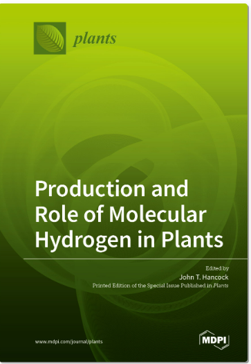 Antioxidants, Heme Oxygenase, Hydrogen Gas, Hydrogenase, Hydroxyl Radicals, Molecular Hydrogen, Nitric Oxide, Reactive Oxygen Species, Chinese Chive, Storage Quality, Antioxidant Capacity, Hydrogen Nanobubble Water, Vase Life, Senescence-Associated Enzyme