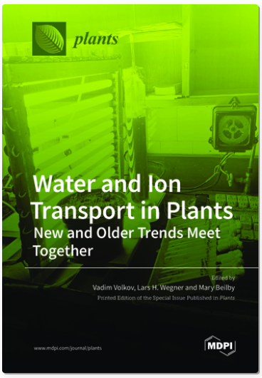 Vacuole, Potassium, Homeostasis, Nhx, Auxin Distribution, Pin, Intracellular Trafficking, Root Pressure, Exudation, Xylem Embolism, Mechanosensitive Ion Channels, Ion Transporters, Aquaporins, Water Transport, Silicon Fertiliser, Wheat, Osmotic Stress, Dr