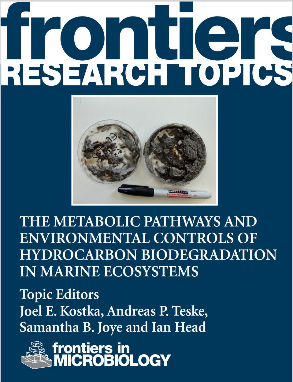 Biodegradation, Metagenomics, Oil Spill, Metatran, Bacterioplankton, Bacteria, Gulf Of Mexico, Microbial Communities, Hydrocarbon, Deepwater Horizon