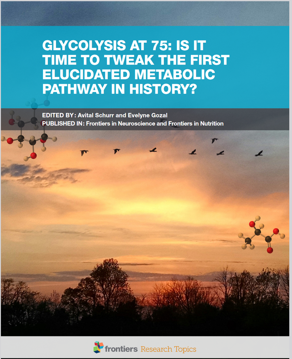 Traumatic Brain Injury, Monocarboxylate Tansporters, Signaling, Energy Metabolism, Lactate, Glycolysis, Lactate Receptor, Lactate Dehydrogenase, Pyruvate, Cancer