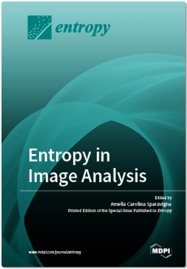 Keyframes, Time-Delay, Whale Optimization Algorithm, Multilevel Thresholding, Multi-Exposure Image Fusion, Additive Manufacturing, Patch Structure Decomposition, Ultra-Sound Images, 3D Scanning, Arimoto Entropy, Contrast Enhancement, Spatial Filling Facto