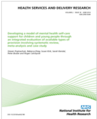 Real Time Survey, Patient Experience