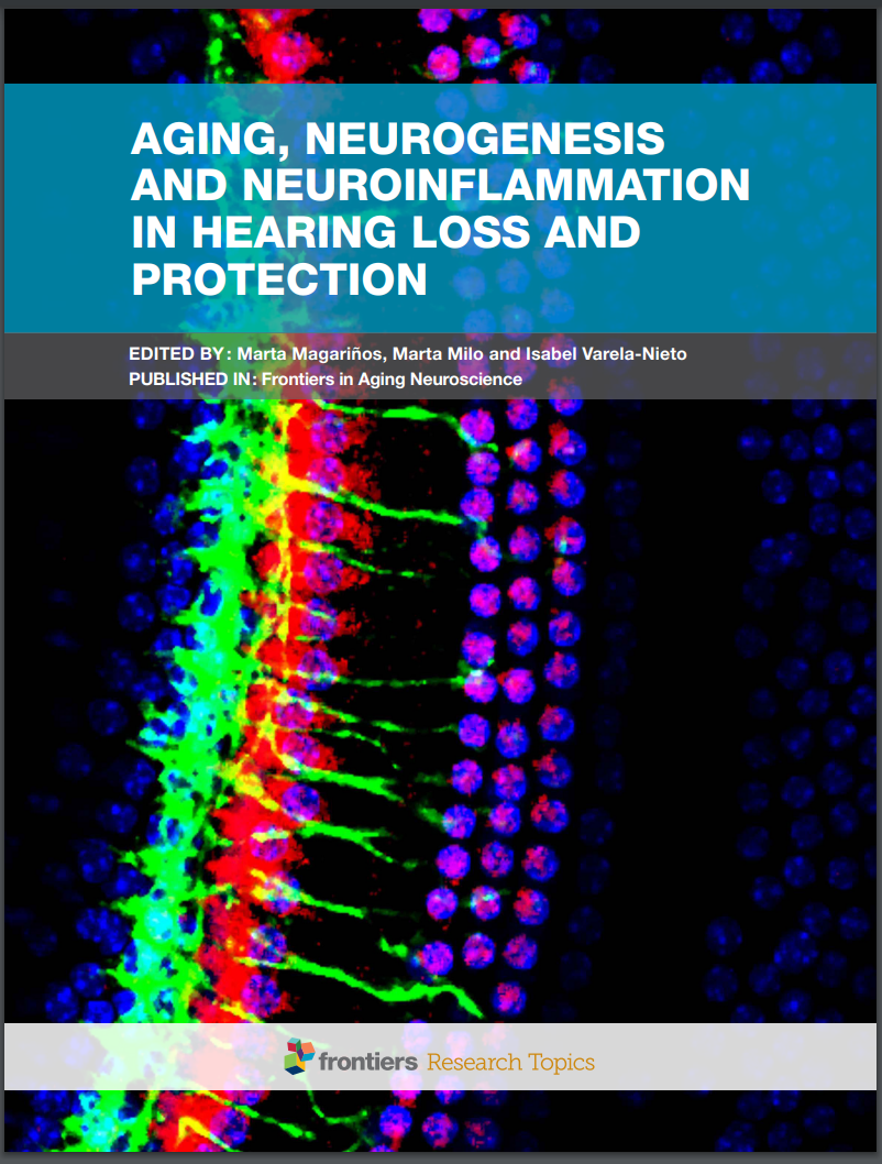 Tgf-Beta, Noise, Hair Cells, Redox Balance, Spiral Ganglion Neurons, Drug Delivery, Arhl, Auditory Cortex, Lipid Homeostasis, Inner Ear