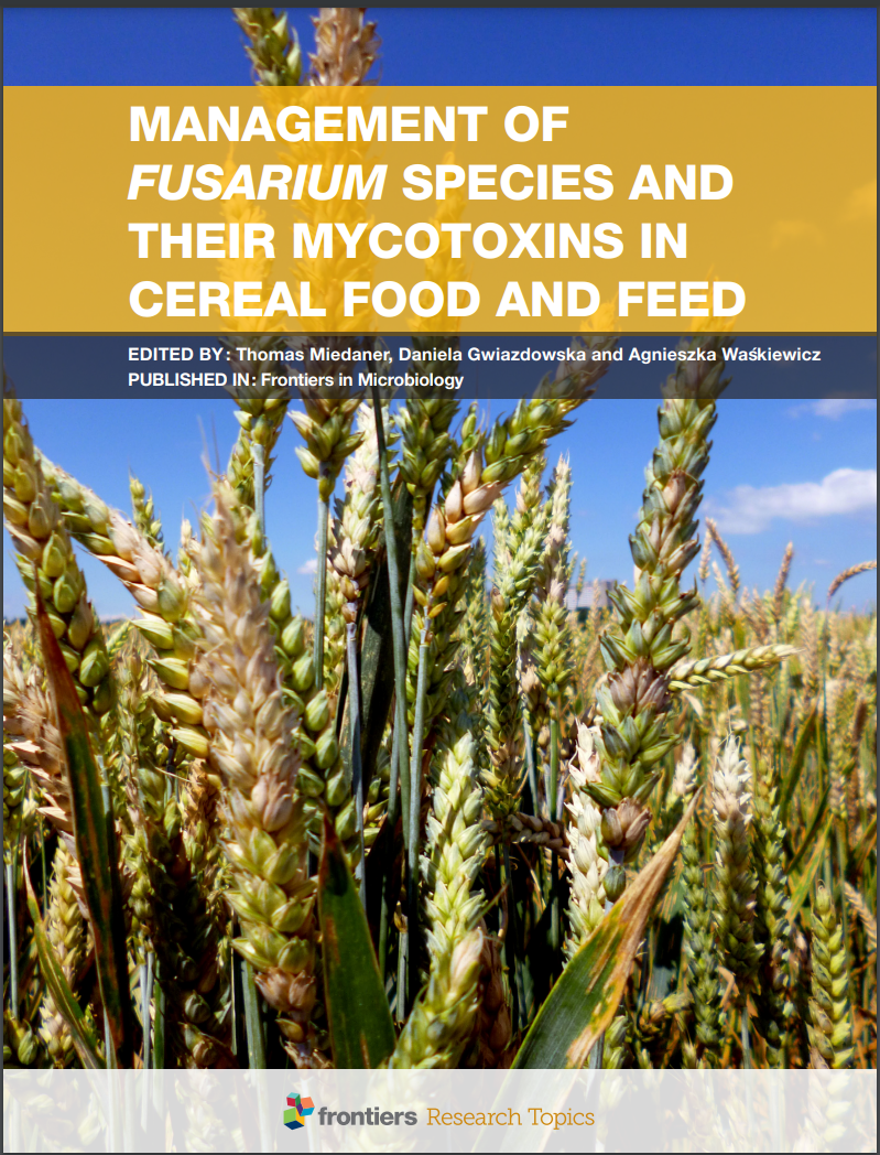 Food Contamination, Decontamination, Zearalenone, Disease Resistance, Mycotoxins, Fumonisins, Fusarium, Cereals, Trichothecenes, Breeding