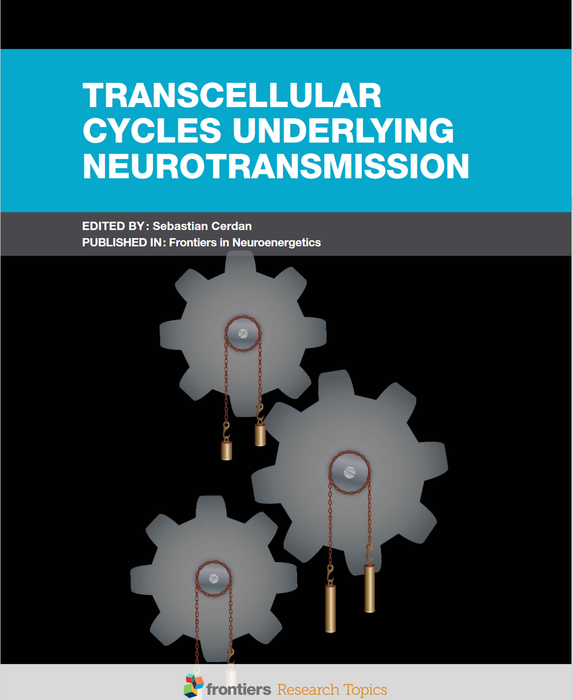 Neuroimaging, Functional Mri, Neuroglial Metabolic Coupling, Glutamate-Glutamine Cycle, Astrocytic Networks, Astrocyte-Neuron Lactate Shuttle, 13C Nmr, Neurovascular Coupling