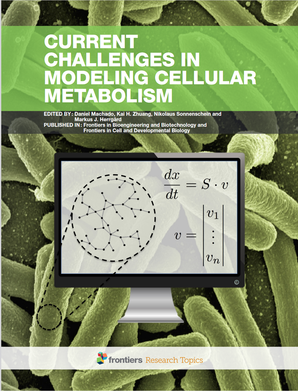 Computational Methods, Metabolic Engineering, Cellular Metabolism, Metabolic Regulation, Modeling Formalisms, Systems Biology, Phenotype Simulation, Mathematical Models