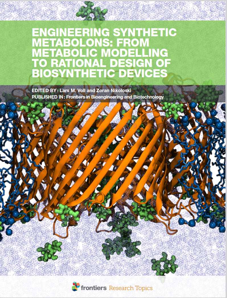 Metabolic Engineering, Reconstitution, Molecular Dynamics Simulations, Membrane Transport Proteins, Protein Engineering, Protein Scaffolds, Metabolite Profiling, Interaction Domains, Metabolic Modelling, Starch Biosynthesis