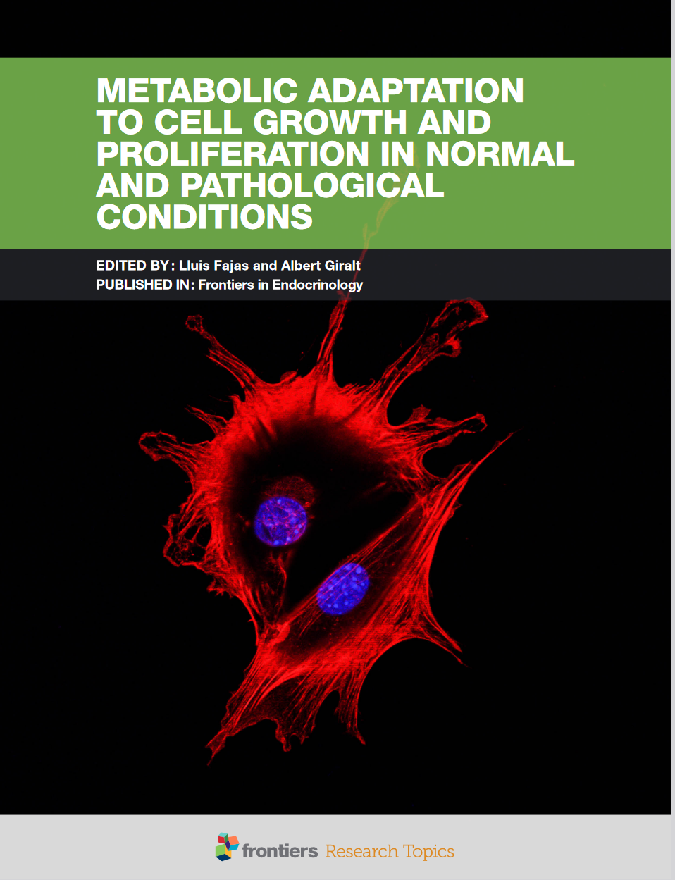 Cancer Metabolism, Proliferation, Mitochondria, Lipogenesis, Metabolic Adaptation, Obesity, Warburg Effect