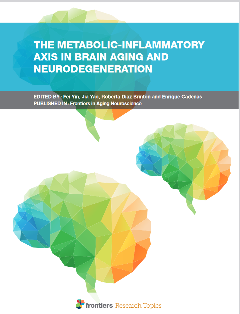 Brain Aging, Mitochondria, Energy Metabolism, Neurodegeneration, Neuroinflammation, Perimenopause, Redox Homeostasis, Alzheimer'S Disease, Diabetes
