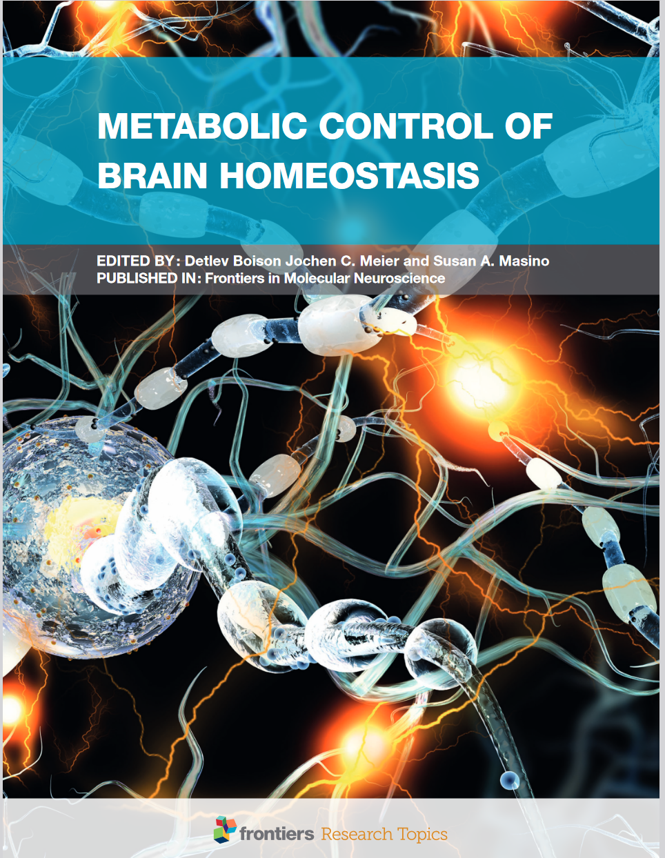 Epilepsy, Rna Editing, Ketogenic Diet, Radiation, Metabolism, Brain Cancer, Alzheimer'S Disease, Autism